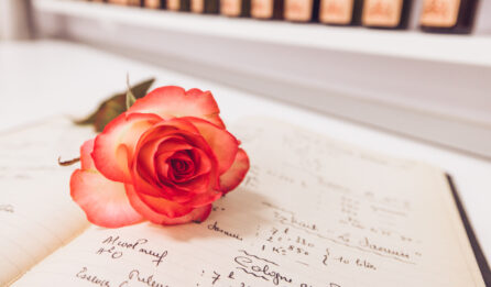 Studio des Fragrances Galimard fleur rose sur un cahier de composition de création de parfum