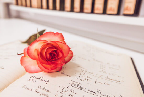 Studio des Fragrances Galimard fleur rose sur un cahier de composition de création de parfum