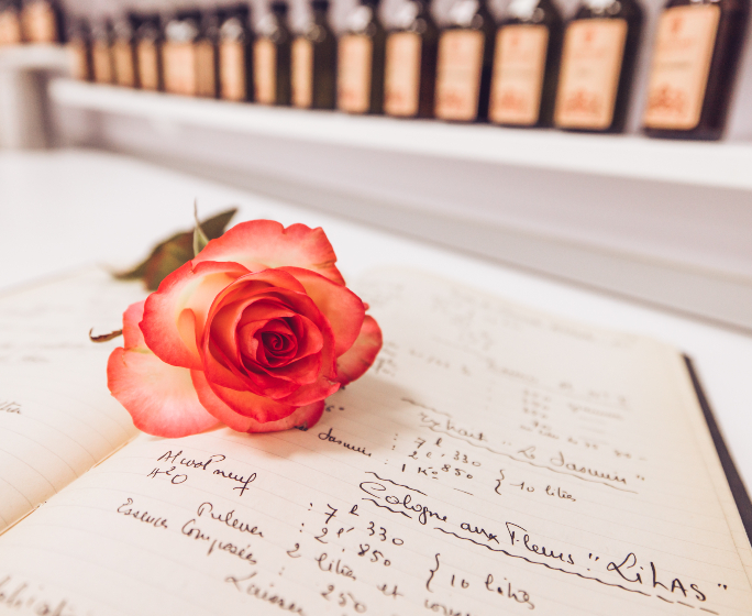 GALIMARD-8F7A5093 Studio des Fragrances Galimard fleur rose sur un cahier de composition de création de parfum