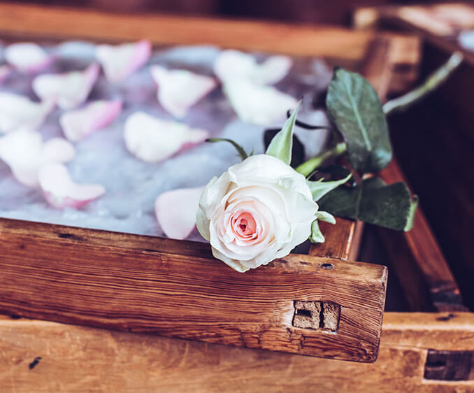 visite-eze-particuliers Pétales de rose blanche - Galimard parfumeur à Grasse