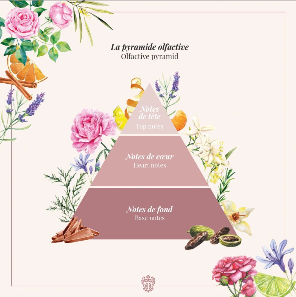 Pyramide olfactive Galimard