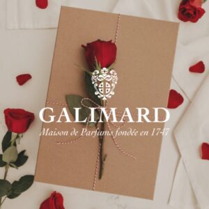 Cadeau emballé dans un carton avec une rose rouge et des pétales de roses rouge